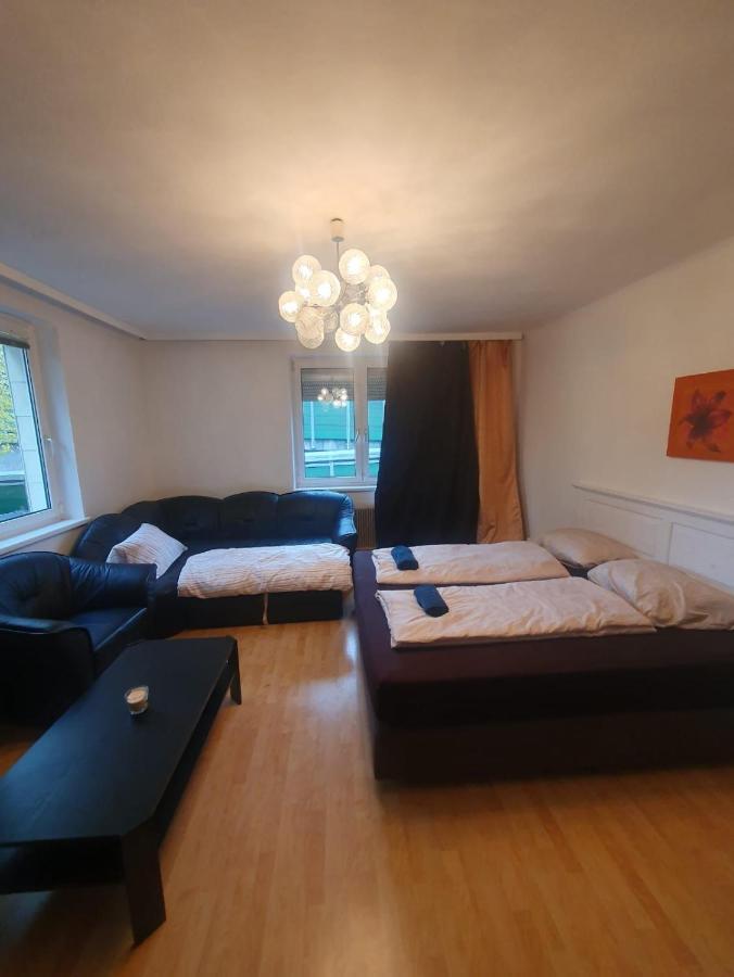 Breathtaking Shared Near Danube River /w Garden And Parking * Vienna