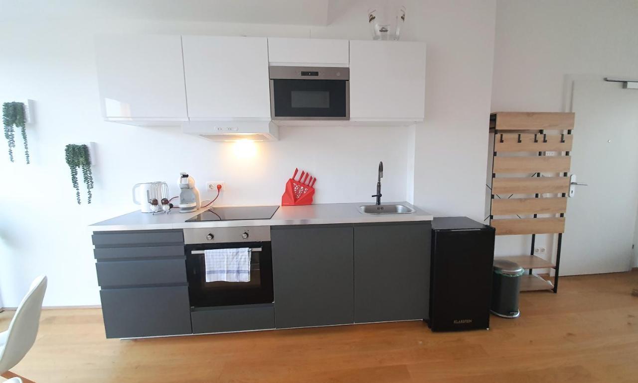 Rooftop Terrace, Free Garage Parking And Pool! Appartamento Vienna