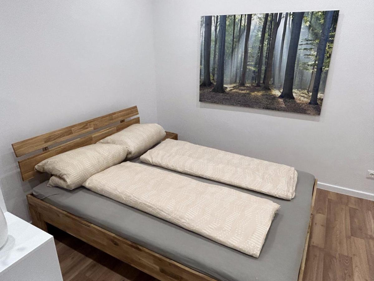 Premium Renovated Flat In Central Apartment