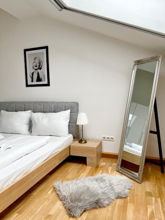 Stellar Penthouse Near Prater Apartment *