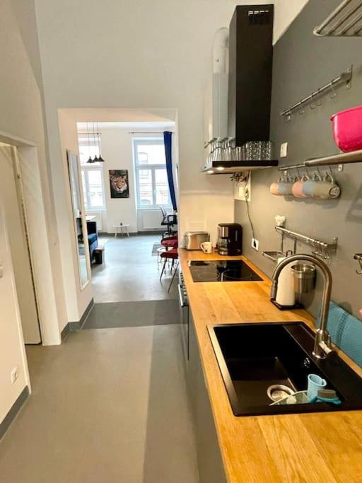 Klimatisierte Sehr Zentrale Wohnung-loftstyle- * Vienna