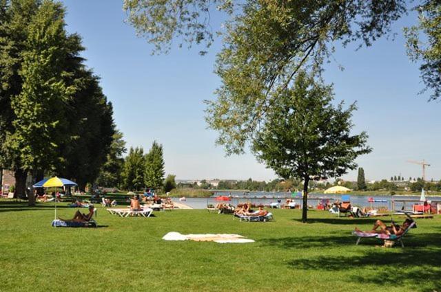 Schoenes Living Am Donauufer * Wien