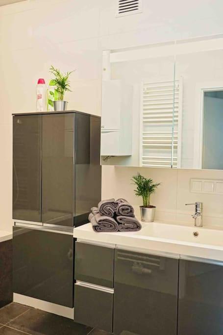 Beautiful In Apartment Vienna