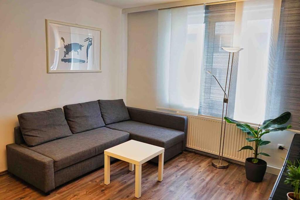 Beautiful In Apartment Vienna