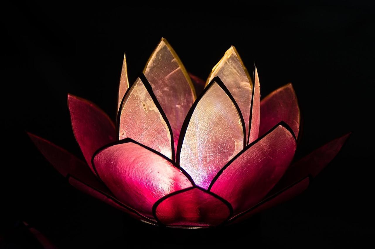 Apartment Pink Lotus Vienna