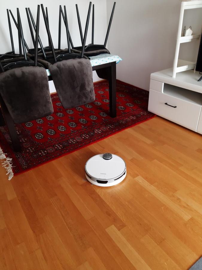 Apartment Lion