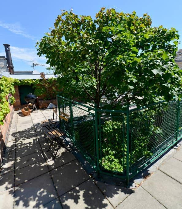 Haven Roofgarden Penthouse In Area * Vienna