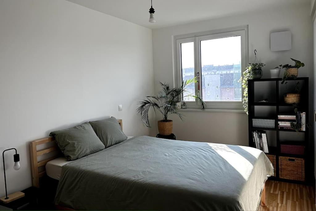 New! Near Schonbrunn Palace Apartment