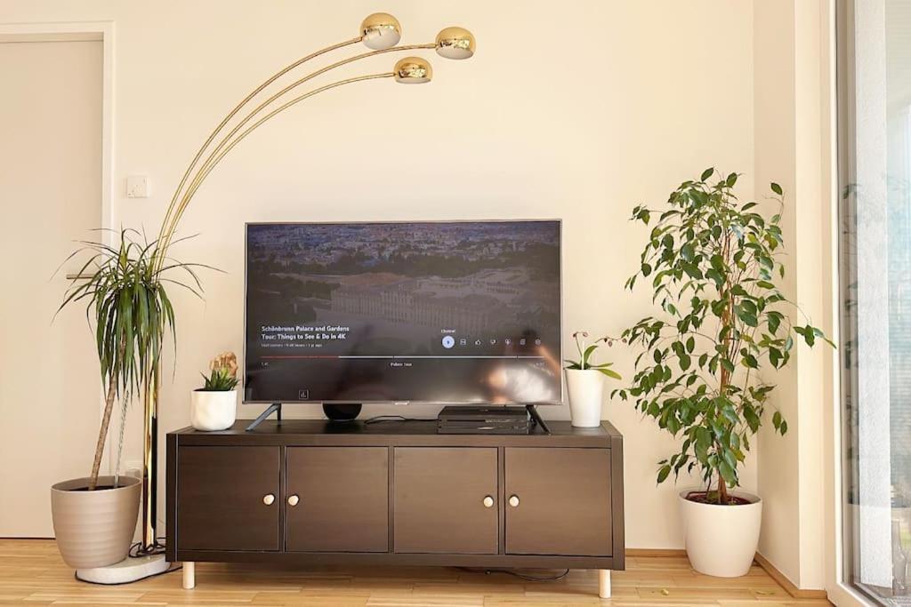 New! Near Schonbrunn Palace Apartment Vienna