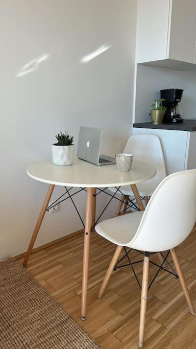 Apartment New! Near Schonbrunn Palace Vienna