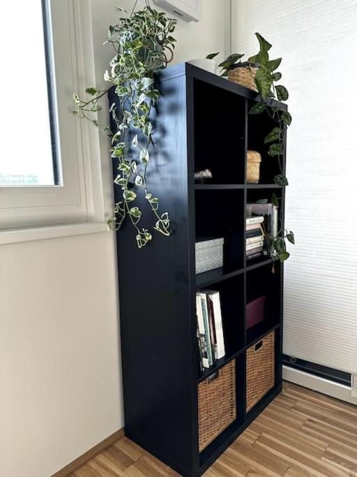 New! Near Schonbrunn Palace Apartment Vienna