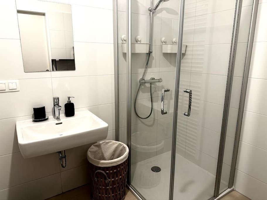 New! Near Schonbrunn Palace Apartment