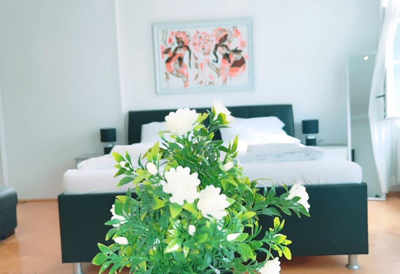 Deluxe Double Kp Apartment Vienna