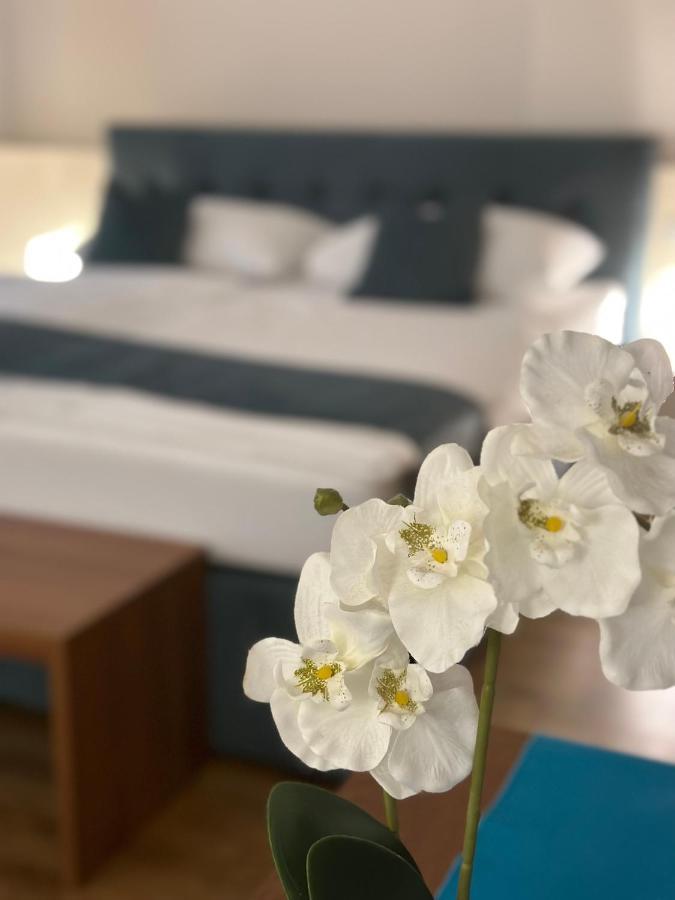 Sweet - A Cozy Welcome Vienna