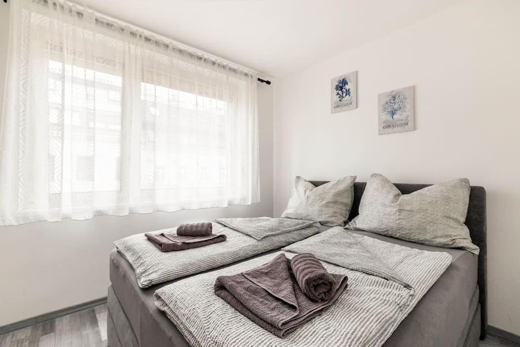Cozy Renovated Close To Schoenbrunn Palace