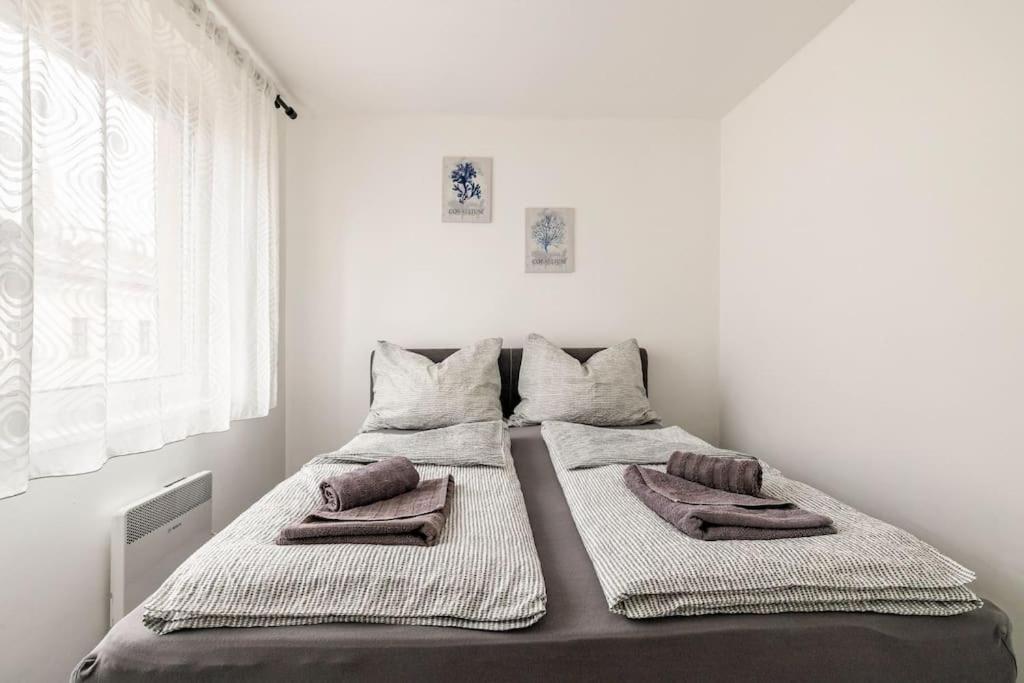 Cozy Renovated Close To Schoenbrunn Palace Apartment