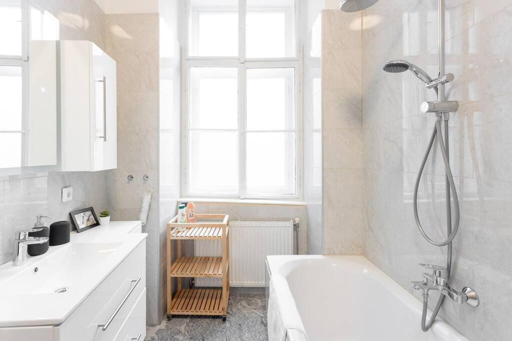 Apartment Franz 23 - Typical Viennese In The Heart Of