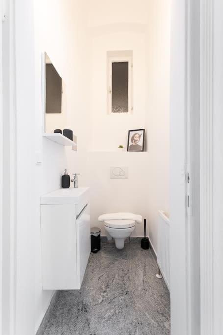 Franz 23 - Typical Viennese In The Heart Of Apartment Vienna