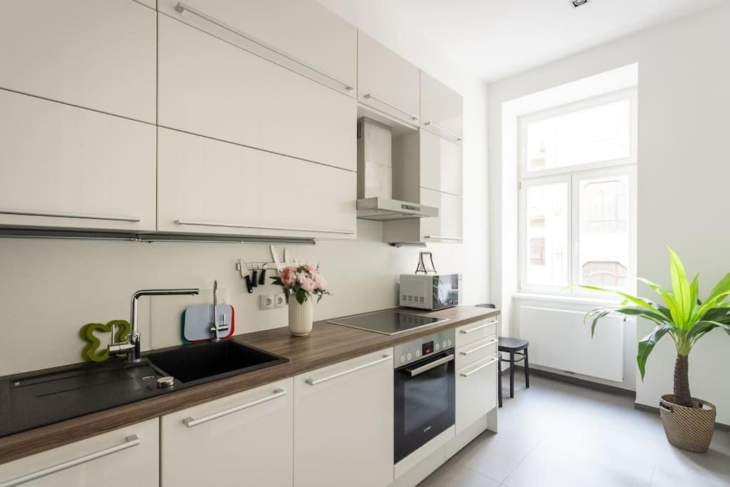 Apartment Franz 24 - Typical Viennese In The Heart Of *