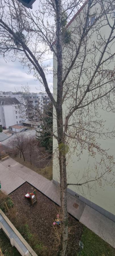 Meri Apartamento Viena