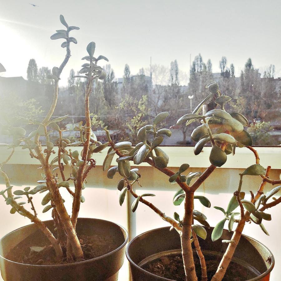 Modern New Danube Apartment, Perfect Location * Vienna