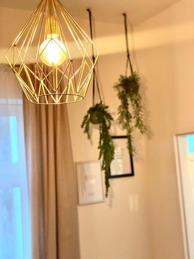 Apartment Amazonian Jungle In Vienna