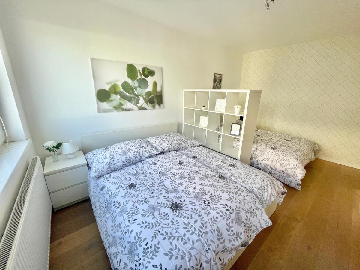 Apartment 80m2 With Balcony & Free Netflix Vienna