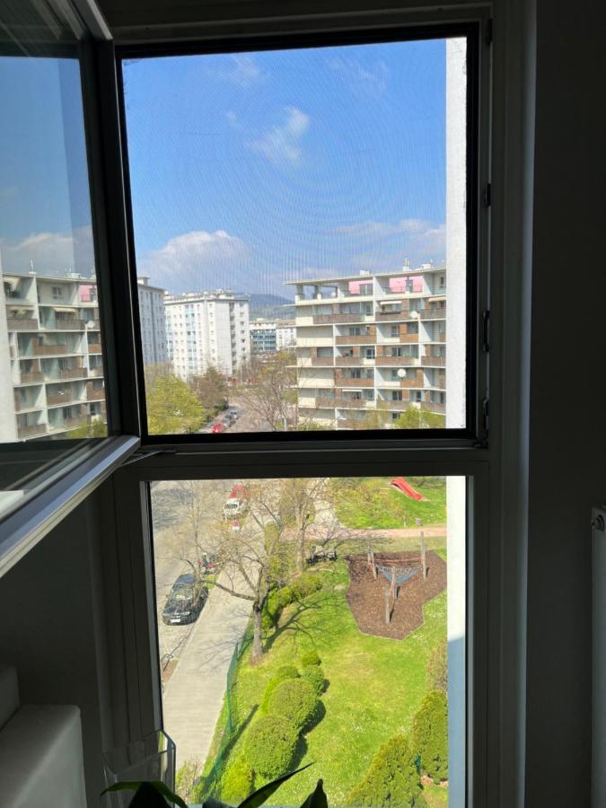 Apartment Danube Penthouse 3 Bed 90 M2 With Balcony