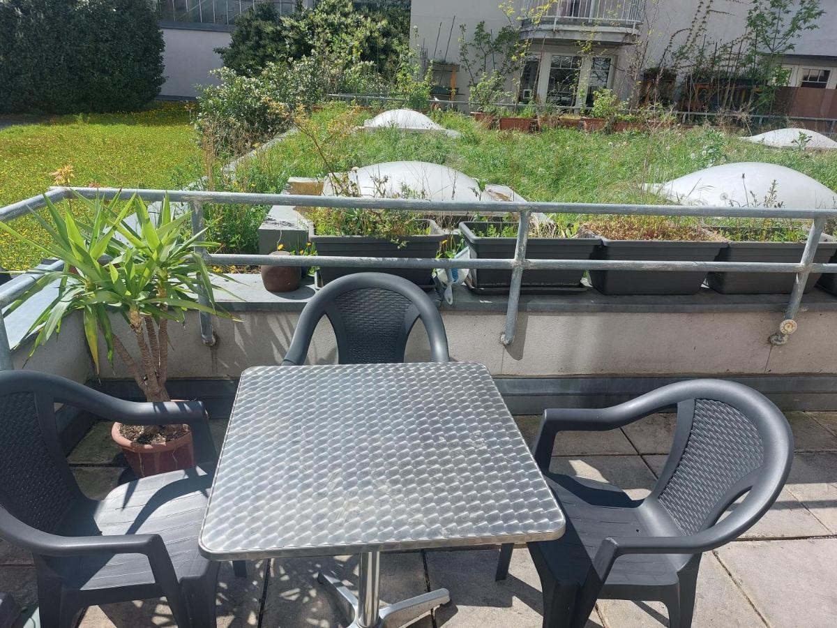 Mozart Terrace Hit
