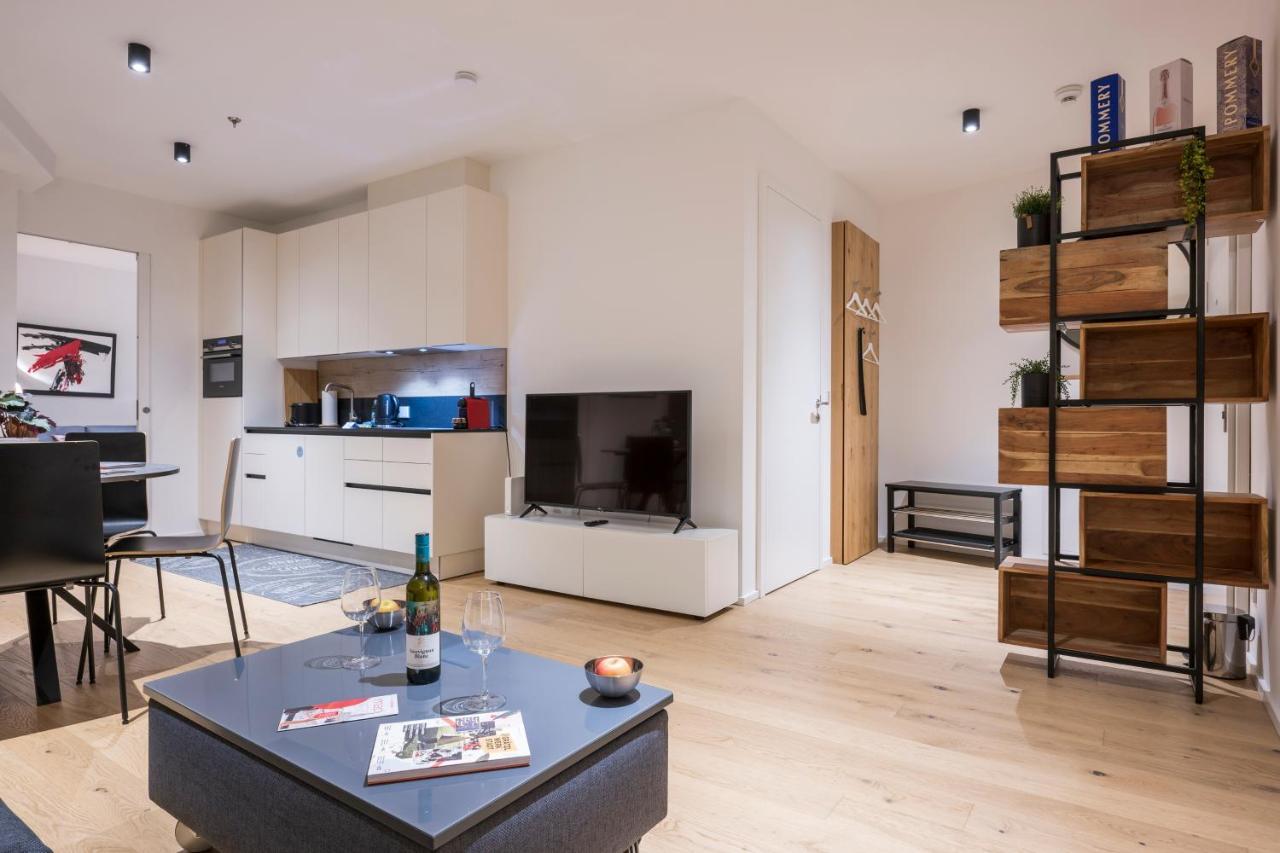 Apartment Luxury Renngasse Vienna
