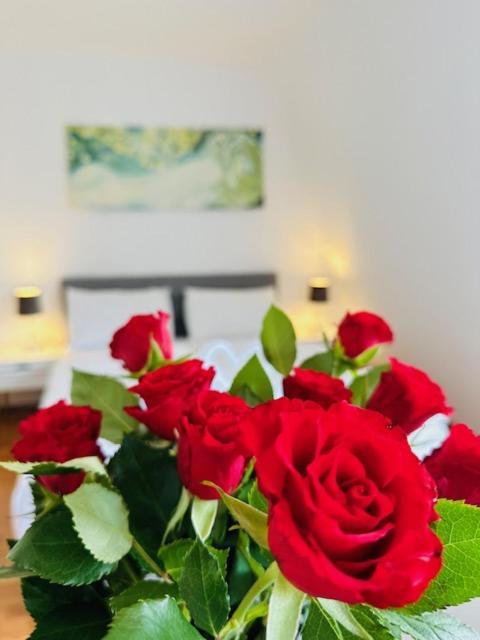 Apartment Villeta Aspern Near U1/ U2 Donauspital Wien
