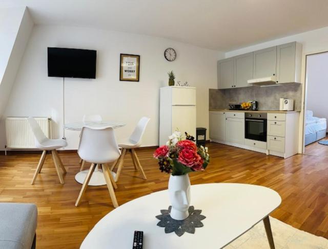 Apartment Villeta Aspern Near U1/ U2 Donauspital