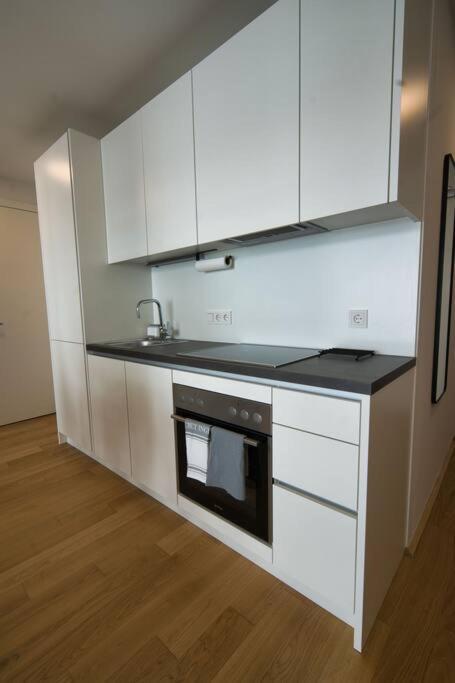 Apartment Modern Near Stadtpark