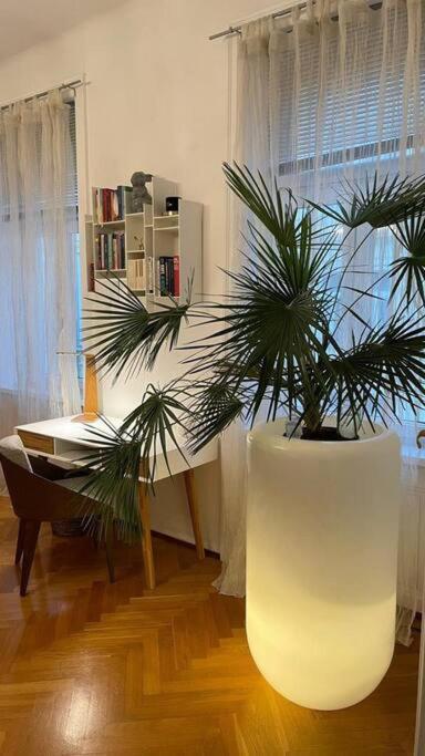 Charmante Innenstadtwohnung Apartamento *