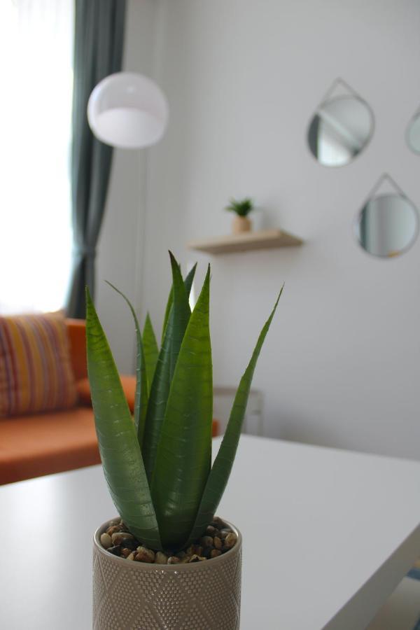 Cosy Flat Only 15 Min To Center