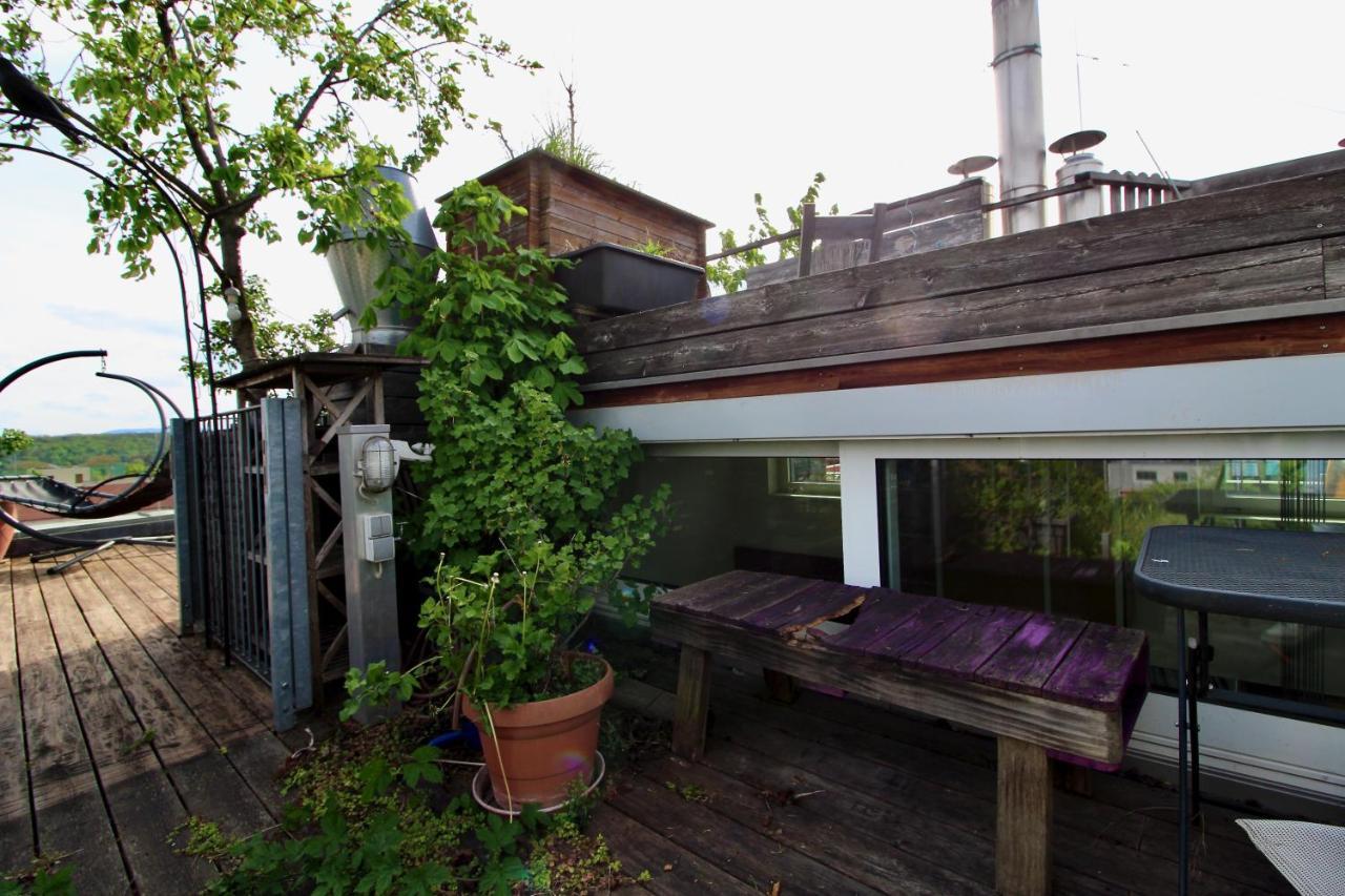 Rooftop Garden Loft 360 View Over Apartment