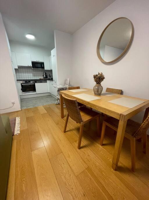 Modern Flat Apartment