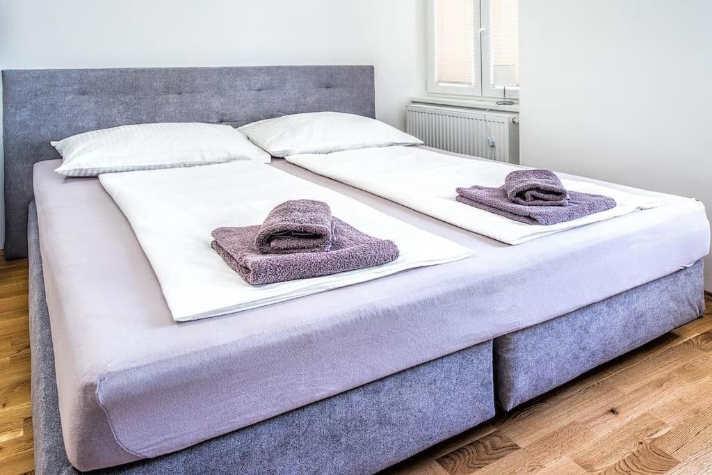 Cozy Apartamento *