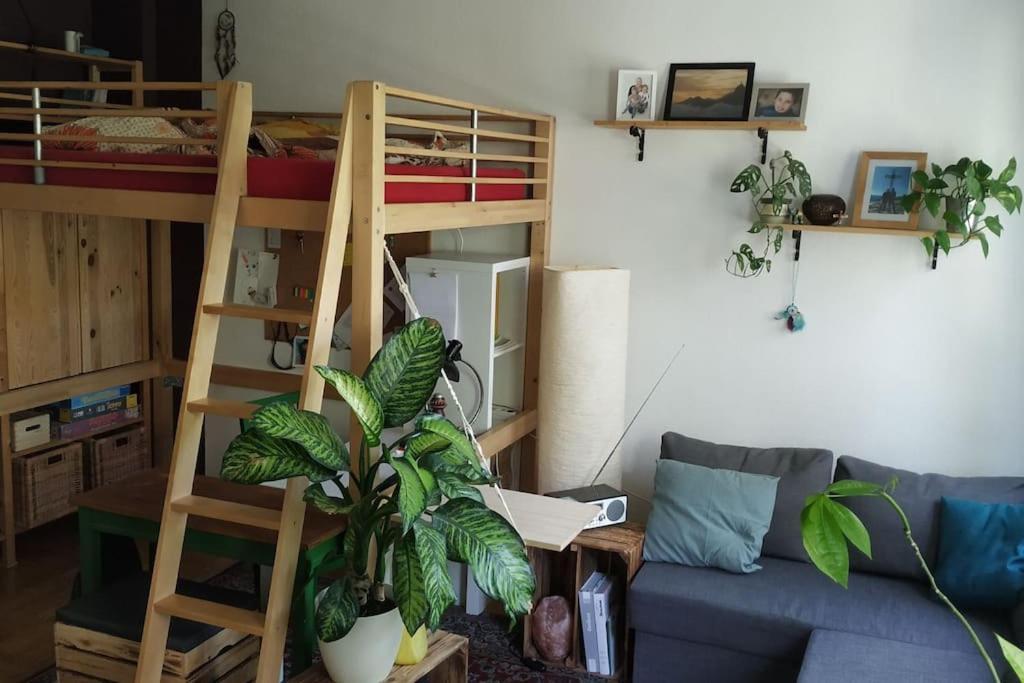 Apartment 15 Min Zum Zentrum