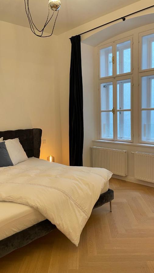 Apartment Downtown Vienna