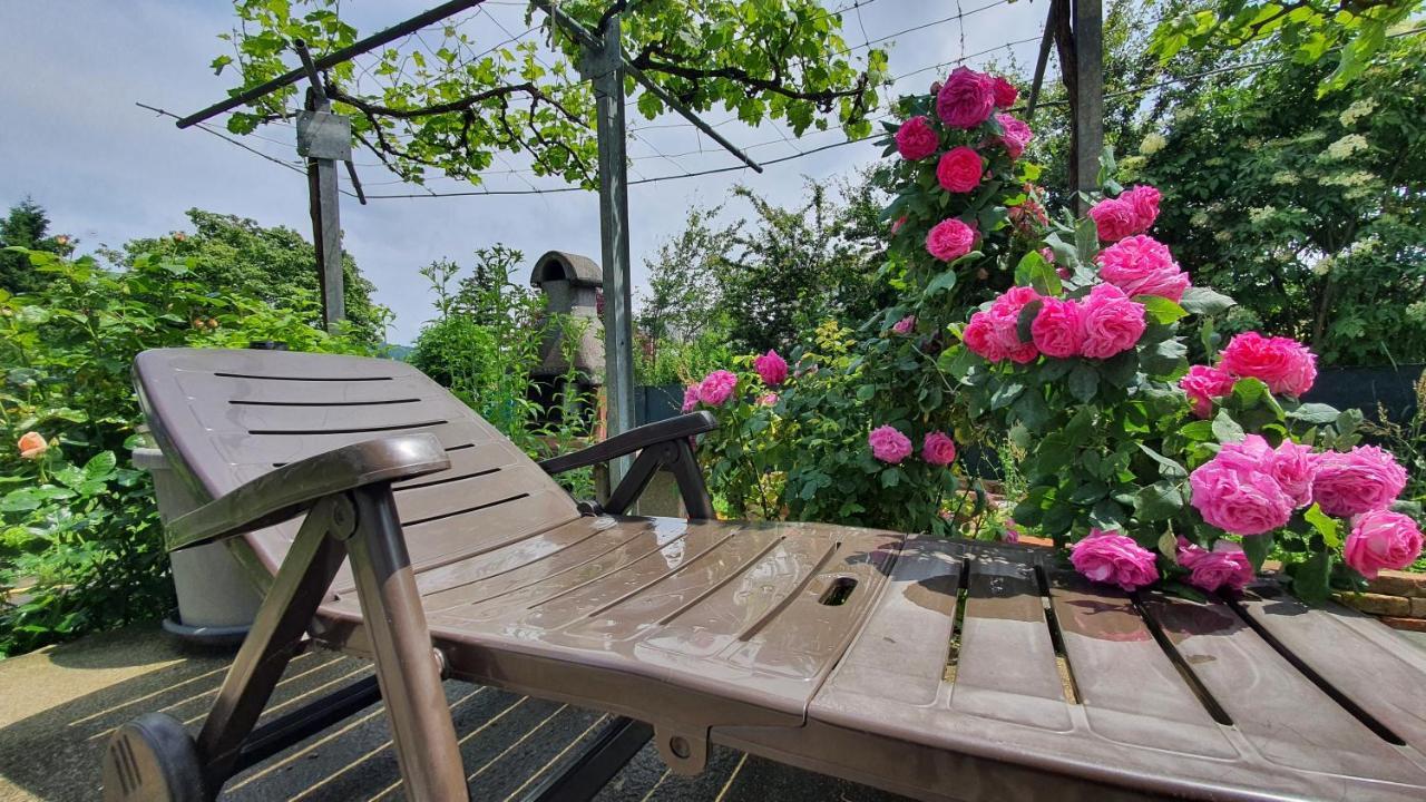Naturgespuer In *