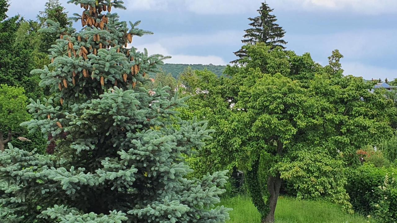 Naturgespuer In Apartment *