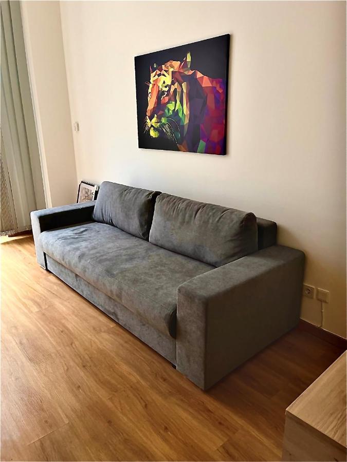 Zm Apartment *