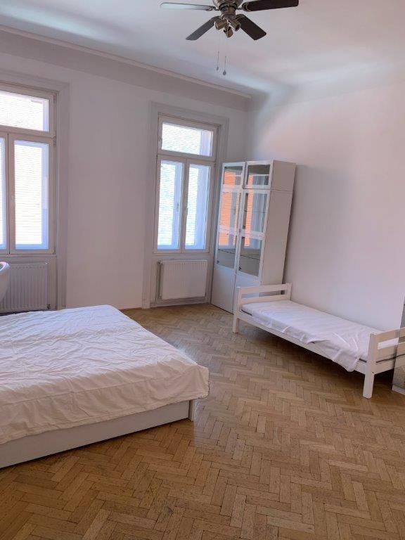 Air-conditioned Large Appartamento Vienna