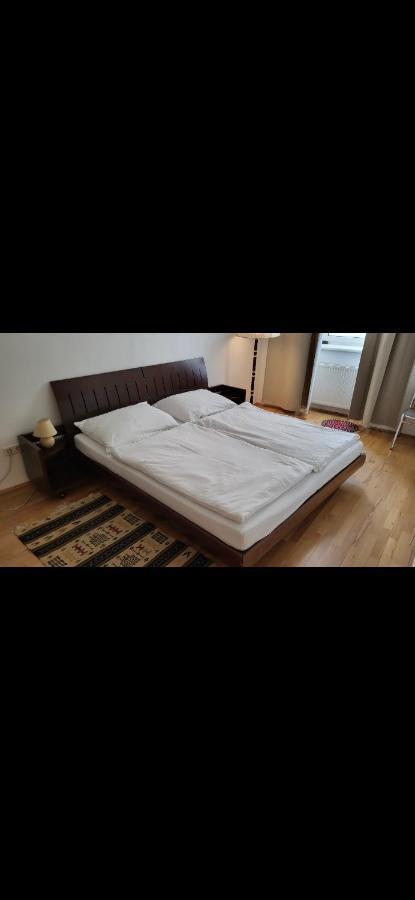 Apartment Schoene Altbauwohnung Zentrum Brigittenauer Laende 32 Vienna