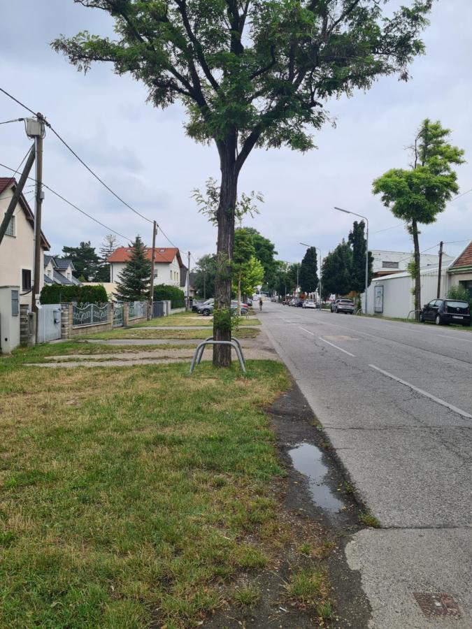 Small-comfy In Donaustadt Garden - Not Shared! Apartment