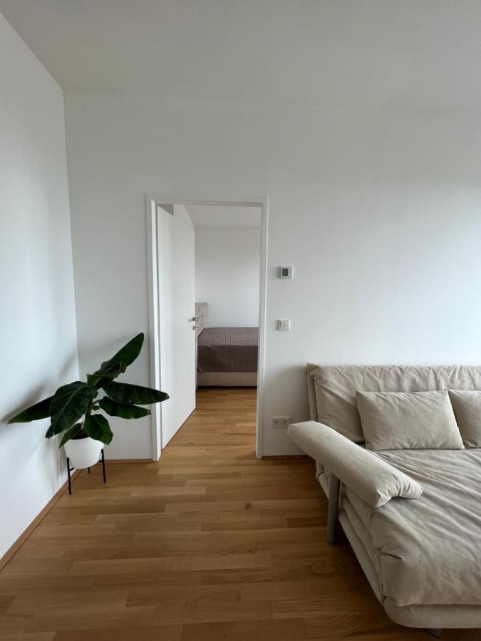 Apartment Above - The View