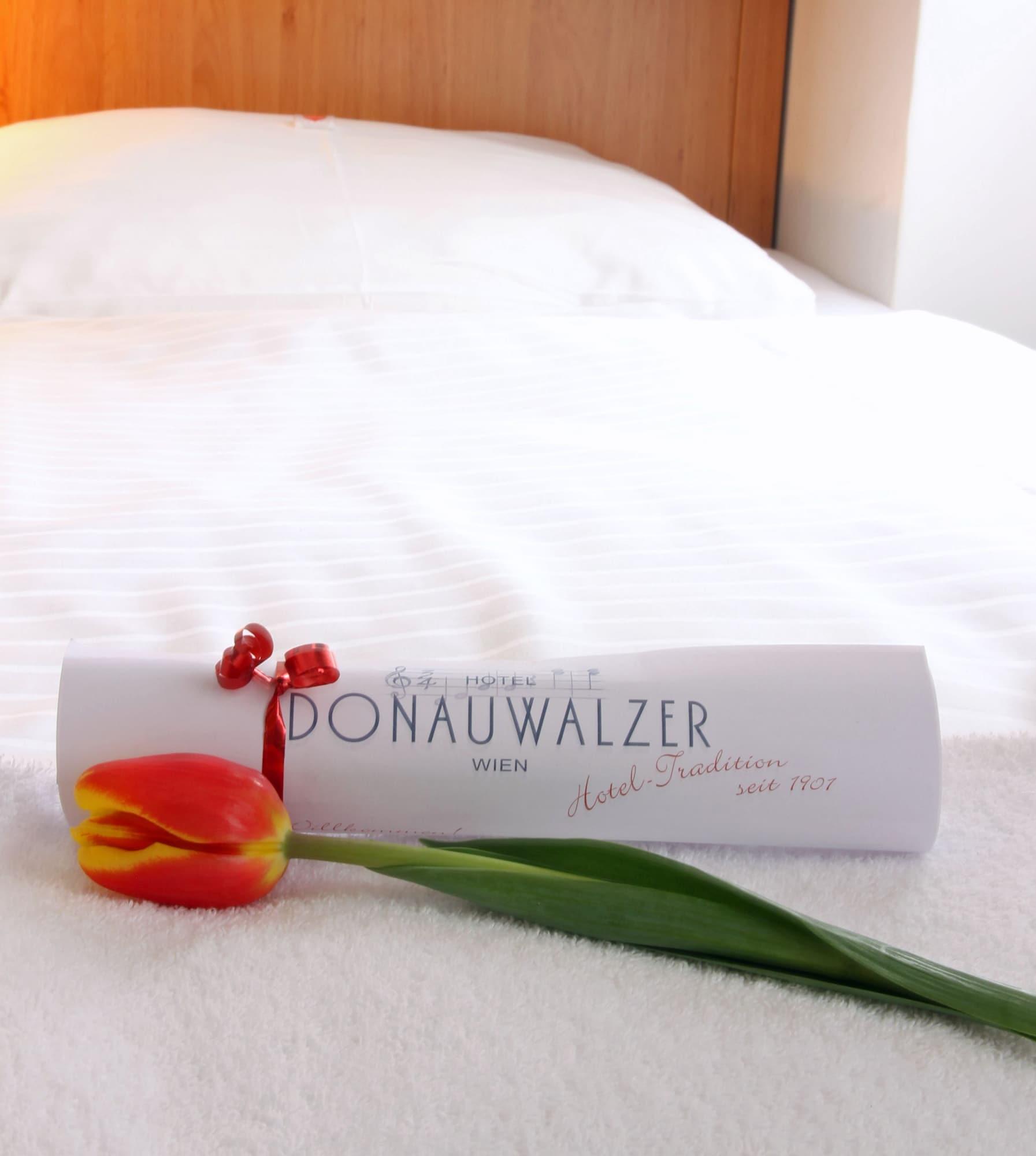 Boutiquehotel Donauwalzer Hotel 3*