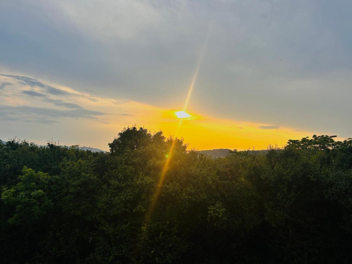 Gemuetliche Mit Flair Und Natur Pur Apartment