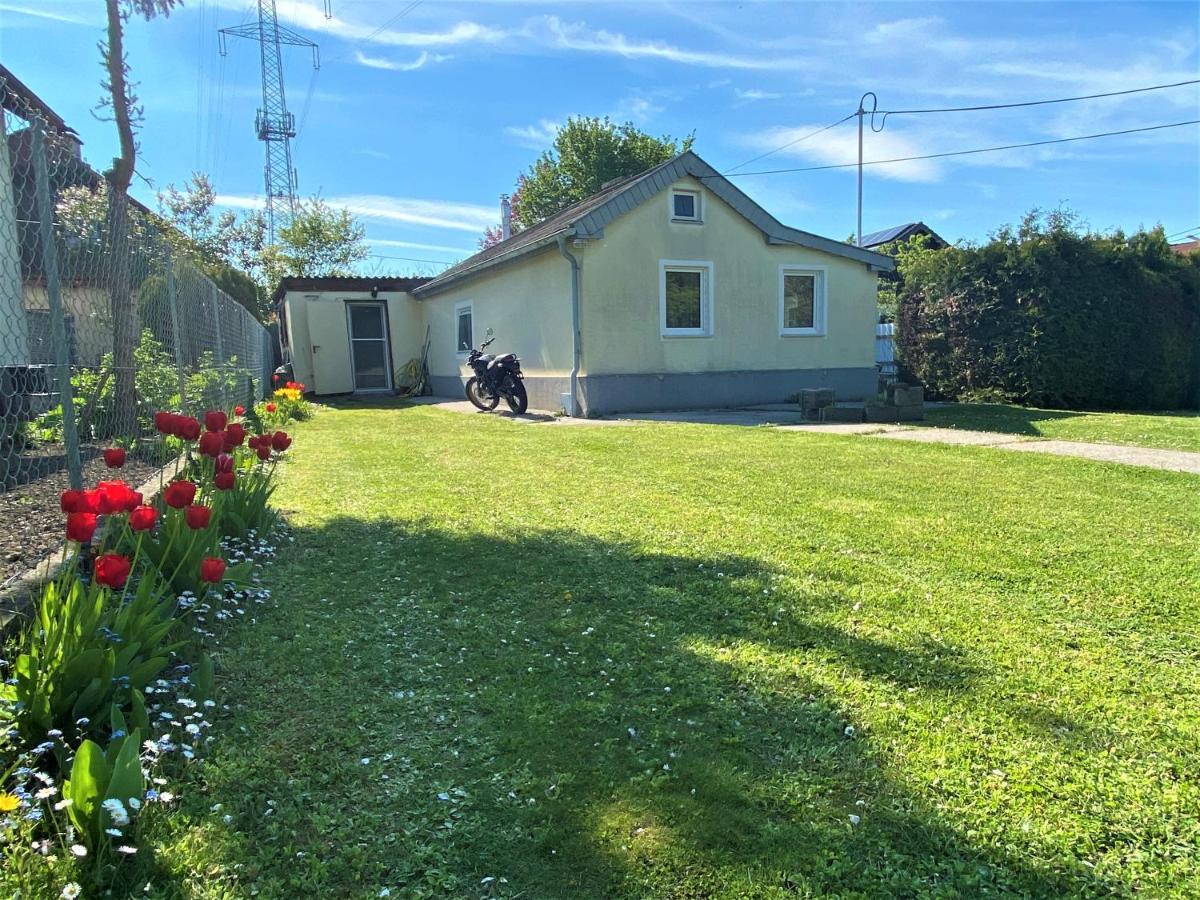 Lovely House Next To River - Free Parking - Big Garden * Vienna